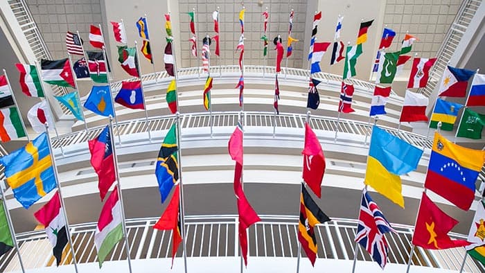 Country flags on display in the Strong Hall atrium.